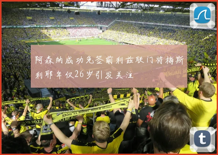 阿森纳成功免签前利兹联门将梅斯利耶年仅26岁引发关注