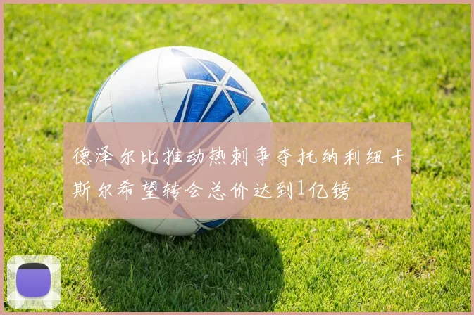 德泽尔比推动热刺争夺托纳利纽卡斯尔希望转会总价达到1亿镑